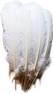 Mighty Pack of 100 Decorative Feathers