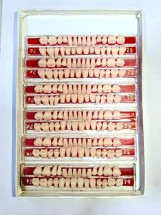 PRAKDENT B-Ton Teeth Set Shade Of 23 Number Dental Elevator