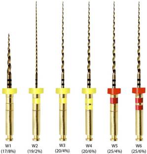 Waldent Wal-flex Gold Rotary Files 21mm - W2 (19/2%) | Pack Of 6 | Autoclavable Dental Elevator