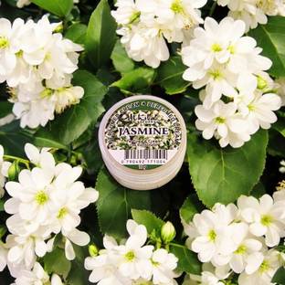 Al Hiba Jasmine Premium Perfumed Body Deodorant Cream  -  For Men & Women