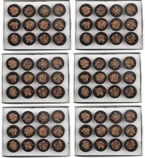 Shacollection 72 Guggal Loban Pooja Cups l Puja Item l With Sambrani (Pack of 6) Guggul Dhoop