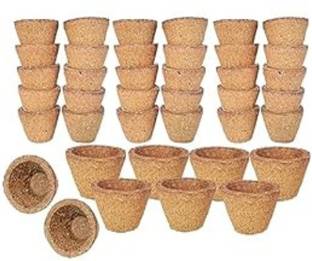 Triveni Desi Gir Cow Dung Empty Sambrani Cups for Pooja 60 Pieces Loban Dhoop