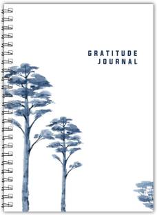 TimeWise Find More Joy: Daily Gratitude Journal 126 Pages Reflection & Positivity A5 Journal Unruled 126 Pages