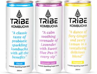 Tribe Kombucha Naturally Probiotic Drink | Gut Friendly | Antioxidant and Hydration, Classic, Gingerade, Lavender Drink