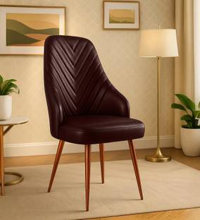 zidle Accent Dining Visitor Chair For Living Room/kitchen/Lawns/Designer Metal Dining Chair