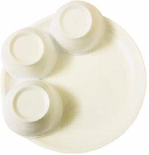 Kanha Groove quarter plate Tray