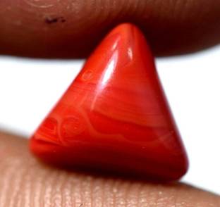 Aanya Jewels Red Moonga Italian Coral Trillion Natural Gemstone Lab Certified 8.25 Ratti Loose Gemstone Rashi Ratan Cab Gemstone Coral Stone Coral Stone Ear Thread