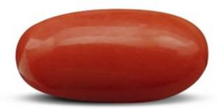 Aanya Jewels Certified Natural Italian Red Coral Capsule Moonga 10 Ct Coral Stone Plug Earring