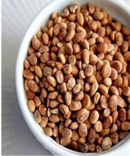 GROCERYONTHEGO Seeds (Chironji, Charoli) 100 Gm Chironji Seeds