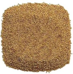 Veganic Foxtail Millet For Birds | Kangni Seed | Bird Food Millet Seeds