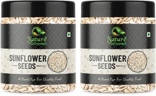 NATURE CONNECT Raw Sunflower Seed for Eating Jumbo Size [Jar Pack] 250 Grams Each Sunflower Seeds
