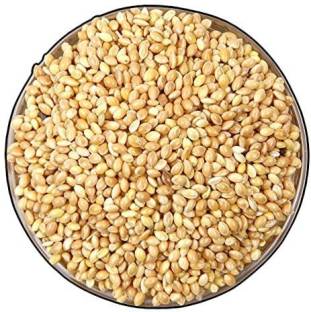 Veganic Foxtail Millet For Birds | Kangni Seed For Bird Food Millet Seeds