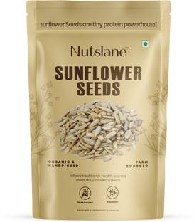 Nutslane Premium Sunflower Seeds Sunflower Seeds