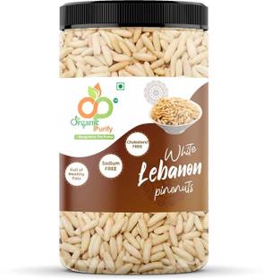 Organic Purify Lebanon Pine Nuts | Chilgoza | Jar Pack 500gm Mixed Seeds