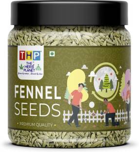THE HERBS PLANET Combo Pack of Fennel Seeds 250 Gm Each Total 500 Gms Green Saunf Fennel Seeds Saunf Small