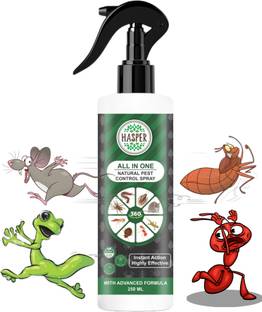 HASPER All-in-One Insect Repellent: Ants, Bedbugs, Lizards, Rats & More | 250ml Electric Insect Killer Indoor, Outdoor