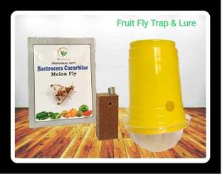 S K Agrotech Bactrocera cucurbiae - melon fruit fly pheromone lurefor all vegetable crop Electric Insect Killer Outdoor