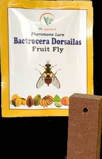 S K Agrotech Bactrocera Dorsailas - fruit fly pheromone lure - pack of 50 lure Electric Insect Killer Outdoor