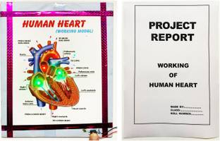 ONTEX ELECTRONICS Human Heart Working Model and Project for Biology with Printed Report Educational Electronic Hobby Kit