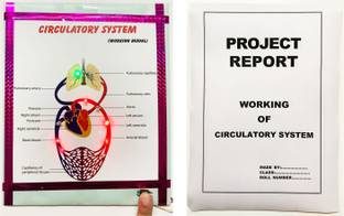ONTEX ELECTRONICS Circulatory System Biology Working Model Project (Report Included) Educational Electronic Hobby Kit