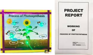 ONTEX ELECTRONICS Photosynthesis System Biology Working Model and Project(Report Included) Educational Electronic Hobby Kit