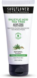 সোলফ্লাওয়ার Salicylic Acid 2% Tea Tree with Green Tea Neem & Basil for Acne, Pimples  ফেস ওয়াশ