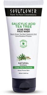 সোলফ্লাওয়ার Salicylic Acid 2% Tea Tree with Green Tea Neem & Basil for Acne, Pimples  ফেস ওয়াশ