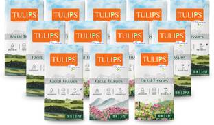 Tulips Premium Creme Soft, Extra Thick 3 Ply Pocket Tissue Paper 10 Pulls/ 120 Sheets