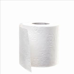 Clemmy Double-Ply Delight Deluxe Toilet Tissue Rolls