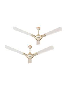 ACTIVA COROLLA with 2 Months Warranty Anti Dust 1200 mm Ceiling Fan