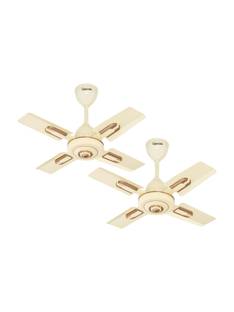 GESTOR ALTROZ | Ultra High Speed | 24 Inch Decorative with 1 Year Warranty Anti Dust 600 mm Ceiling Fa...