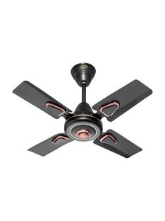 GESTOR Amazy | Ultra High Speed | 24 Inch Decorative with 2 Year Warranty Anti Rust, High Air Delivery...