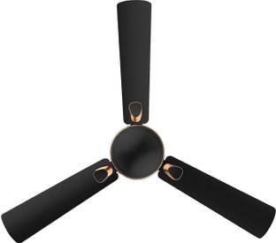 RR Triana with 3 Year Warranty Energy Saving 1200 mm Ceiling Fan