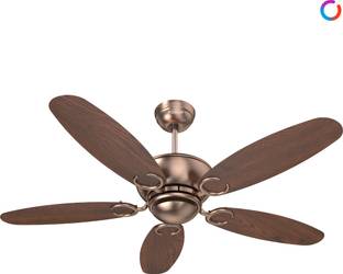Polycab Superia SP04 3 Star 1200 mm 5 Blade Ceiling Fan