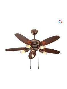 Polycab Superia SP02 BLDC 1200mm Ceiling Fan with Remote,3 Star(Copper Rosewood) with 2 Year Warranty ...