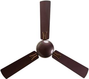 RR Audie Cocoa with 1 Year Warranty Silent Operation 1200 mm Ceiling Fan