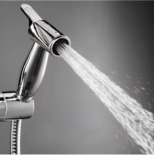 CARNIVAL CRHF1425 Health Faucet,Handheld Bidet Sprayer Set /Jet Spray for Toilet Faucet Set Health  Faucet