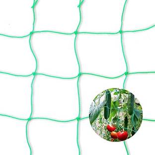 Amz Sports Nets Garden Creeper, Plant Net For Fruits Flowers, Vegetables(10FT x 10FT) Nylon Fence Post