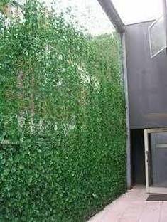 Amz Sports Nets Garden Creeper, Plant Net For Fruits Flowers, Vegetables(10FT x 18FT) Nylon Fence Post