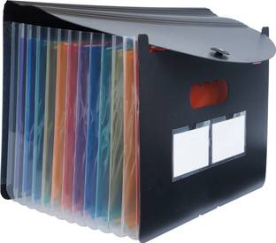BRuSTRO EZ Expand A4 Folder 13 Pocket Expanding File Folder, Accordion Document Organizer for School, Home & Office