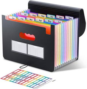 KolorFish Plastic Accordion File Organizer, 12 Pocket Expanding File Folder with Label, Portable Monthly Bill Receipt Organizer, Document Storage Organizer, Expandable Desktop File Keeper