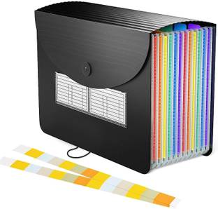 STORITE Polypropylene (PP) Plastic 12 Pockets Expanding File Folder with Labels for Home Office School Supplies (33 * 24cm)