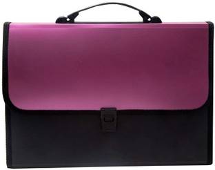 Bluedeal plastic Presents Plastic File Folder F/C Expanding Bag with Handle 5555