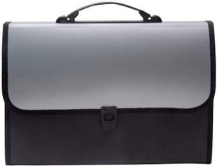 Bluedeal plastic Presents Plastic File Folder F/C Expanding Bag with Handle 5555