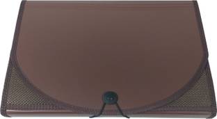 SHINING ZON Plastic 13 Pocket Expanding File Folder Multipurpose