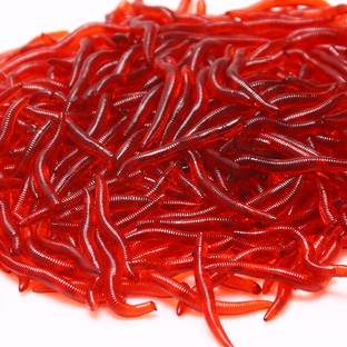 RAJry Soft Bait Silicone Fishing Lure