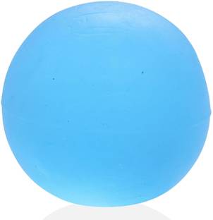 physio Active Gel ball Exerciser Hand Grip/Fitness Grip Medium (Blue) Hand Grip/Fitness Grip
