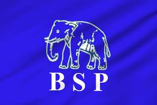 The Flag Company The Flag Company BSP Flag - 2ft x 3ft | Outdoor Flag Rectangle Outdoor Flag