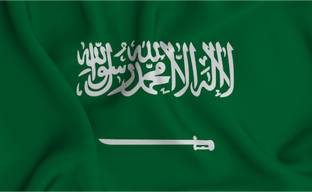 The Flag Company Saudi Arabia Flag - Outdoor Flag 4 ft X 6 ft Rectangle Outdoor Flag