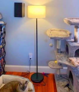 FEIXE Club Floor Lamp